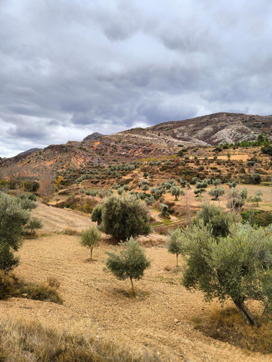Surrounding environment