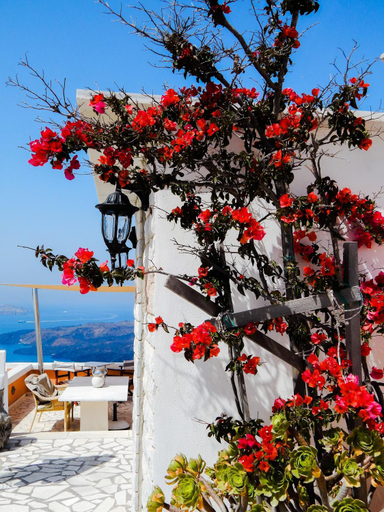 Others 5, Le Petit Greek, South Aegean