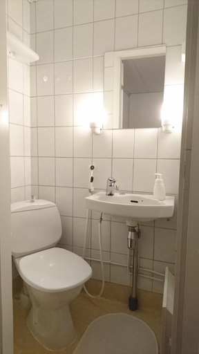 Bathroom 3, Guesthouse Golden Goose, Lapland