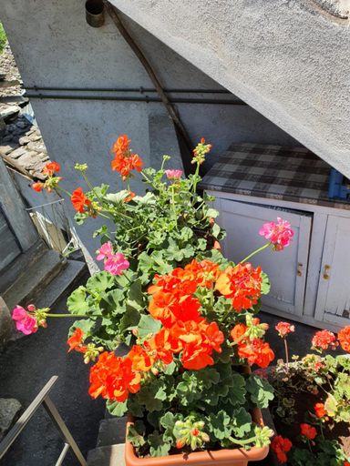 Exterior & Views 4, Coccinella House, Verbano-Cusio-Ossola