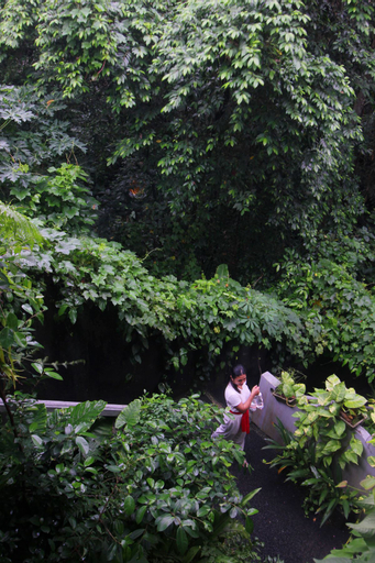 Scenery 10