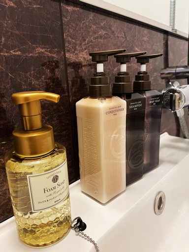 Nplus HOTEL Tokyo Nihonbashi, Chūō
