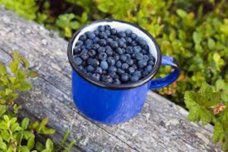 Food & Drinks 5, Studio by the river Ivalo, Lapland