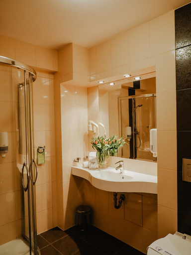 Bathroom 4, Hotel Delfin Spa&wellness, Sławno