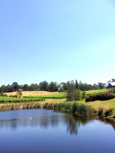 Scenery 1