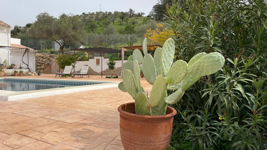 Sport & Beauty 4, Finca Valle Verde, Málaga