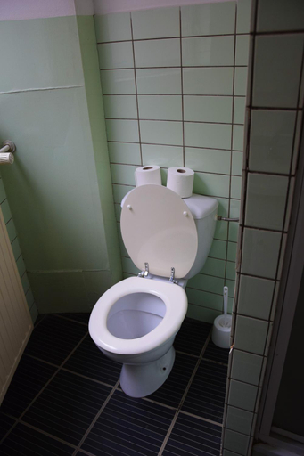 Bathroom 3, Budget Flats Antwerp, Antwerpen