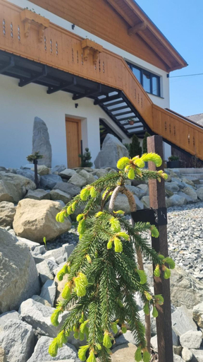 Others 2, Apartamenty u Kolodzieja, Cieszyn