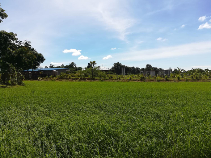 Scenery 2