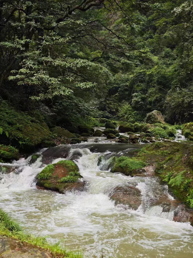Others 5, CLOUD Pillow Creek Private Homestay, Zhangjiajie