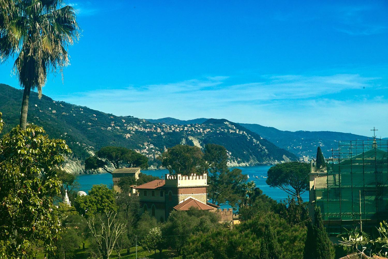 Scenery 8