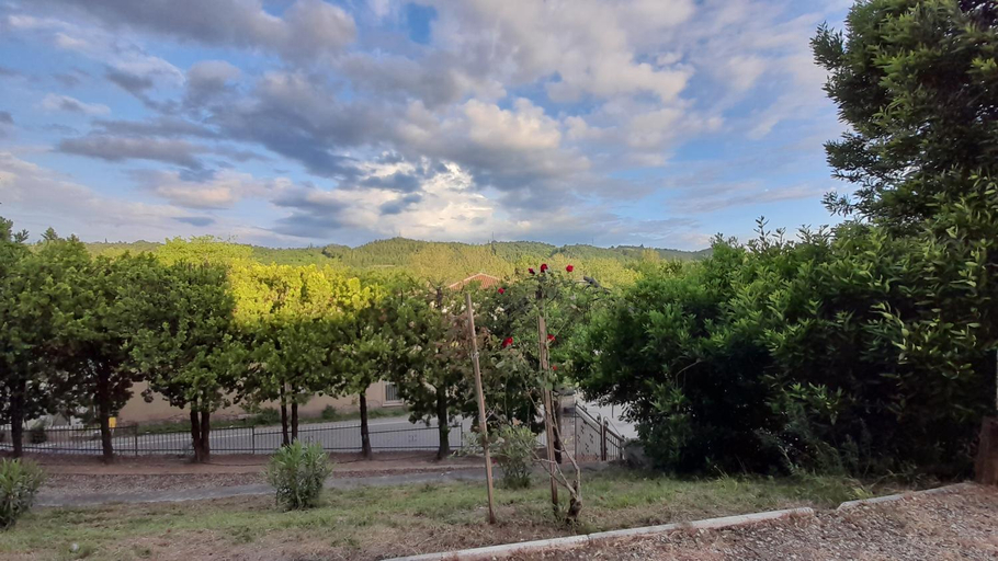 Scenery 3