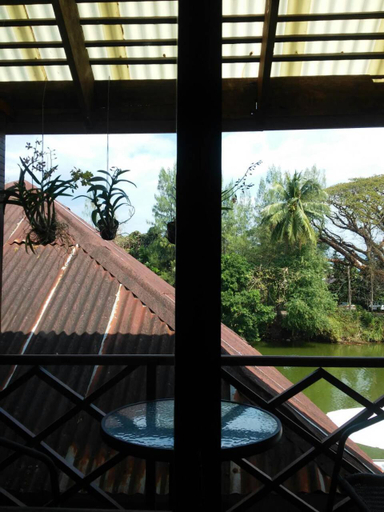 Scenery 19