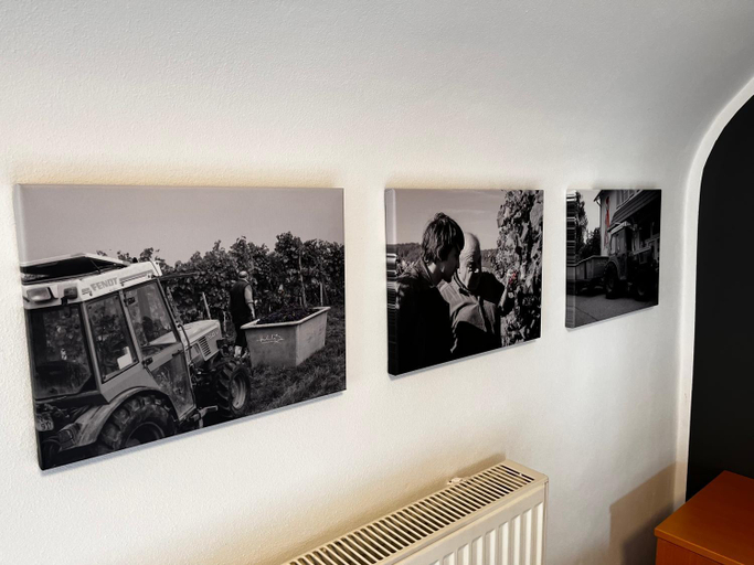 Others 5, Landhaus Hohly, Heilbronn