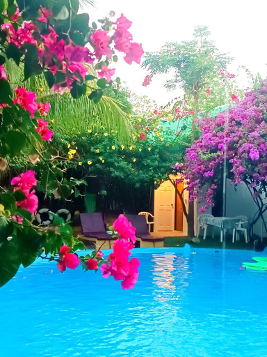 Swimming Pool 9