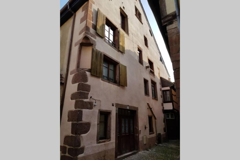 a l'oree du bois, Haut-Rhin
