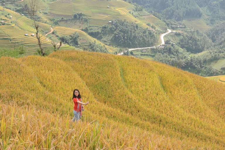 Scenery 13