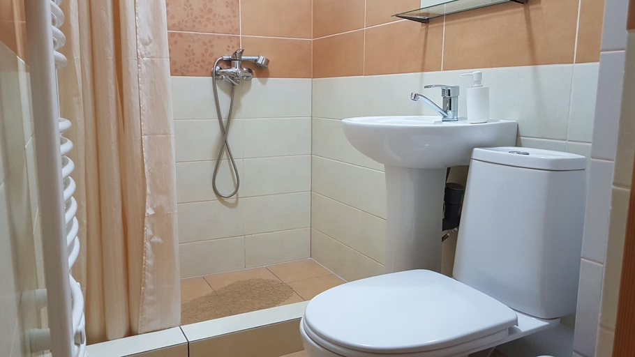 Bathroom 5, Villa Richka, Mizhhirs'kyi