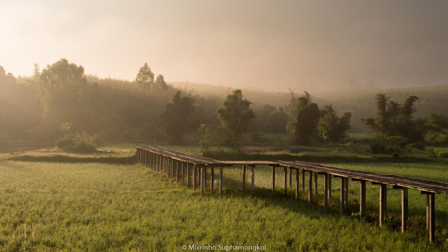 Scenery 21