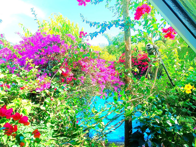 Scenery