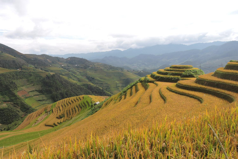 Scenery 8
