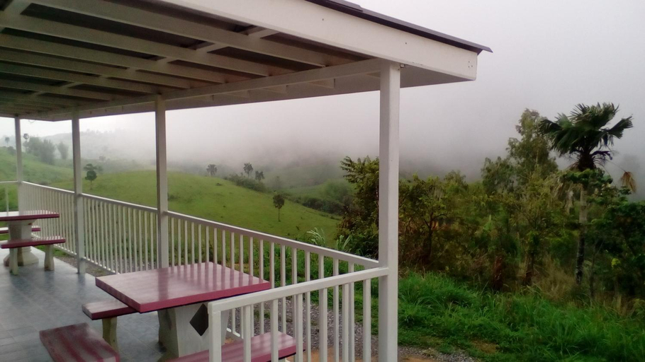 Scenery 16