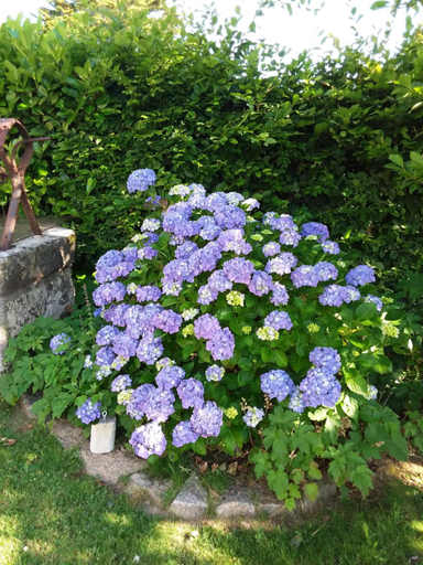 Garden 4, Les chambres de Marie, Morbihan