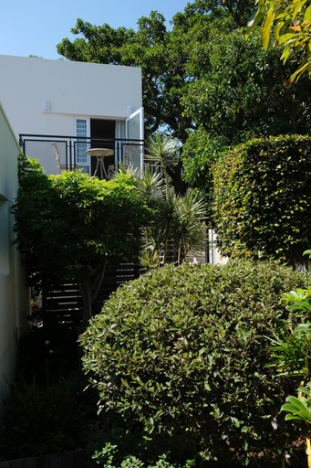 Scenery 7