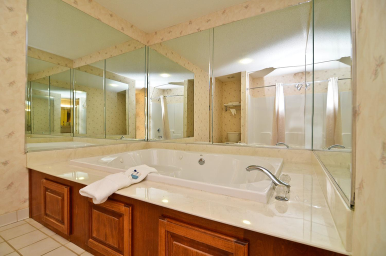 Facilities 5, Peach State Inn & Suites, Pulaski