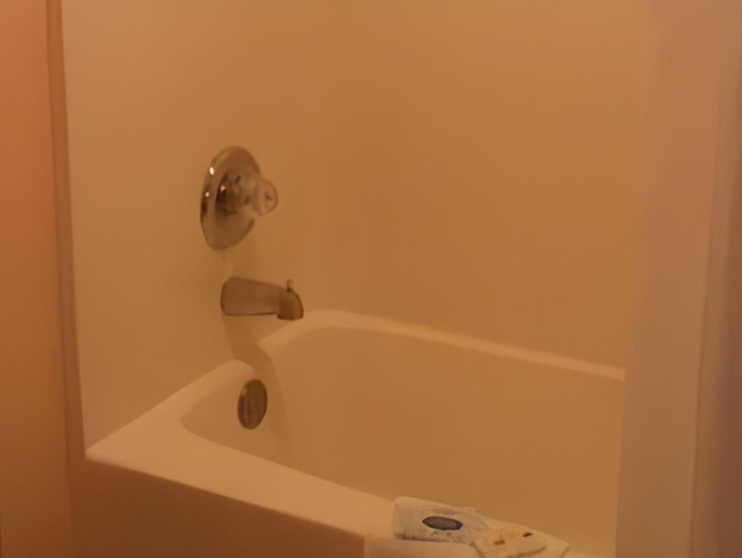 Bathroom 4, FairBridge Inn Express Mt Vernon, Posey