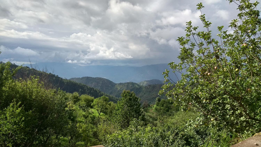 Others 4, Ababeel Homestay, Hartola, Nainital