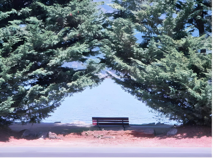 Others 5, Wessex Inn By The Sea, Cowichan Valley