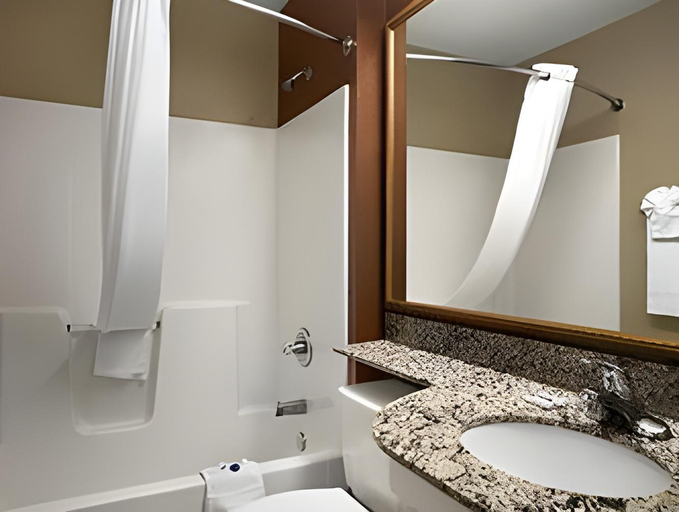 Bathroom 3, Sonesta Essential Hotels Longview, Gregg