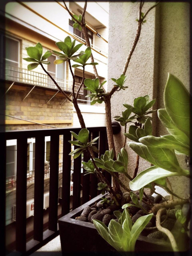 Others 4, Ho.Me-Easyhouse, Tainan