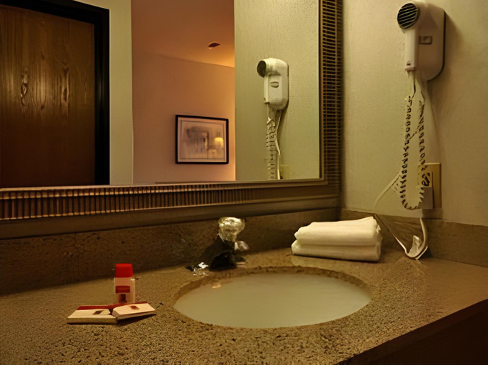 Bathroom 4, Riverdale Inn, Hampden