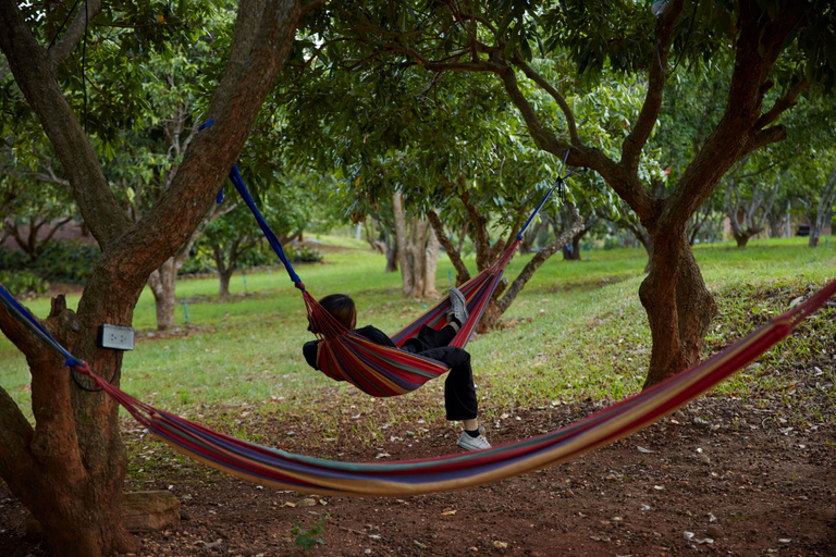 Kids playground