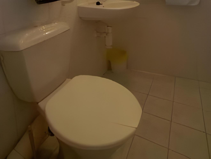 Bathroom 3, Hotel Horni Pramen, Trutnov