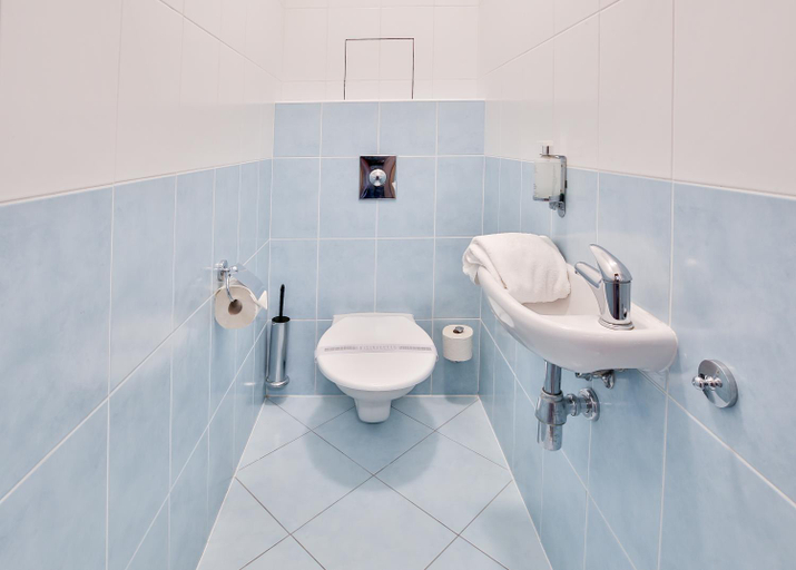 Bathroom 5, Parkhotel Hluboka Nad Vltavou, České Budějovice
