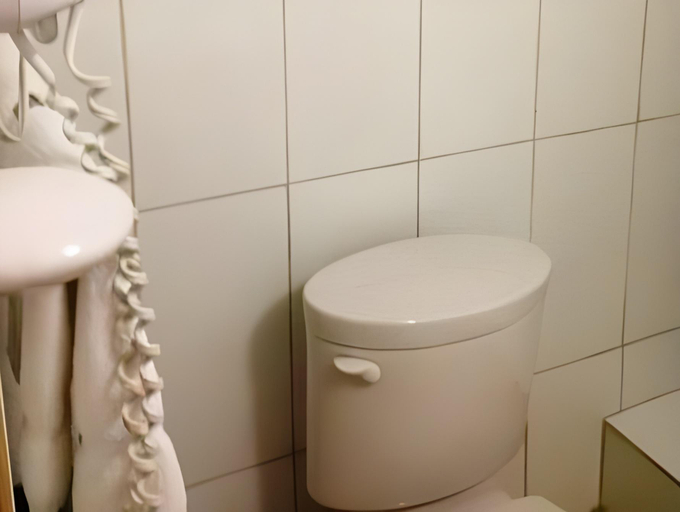 Bathroom 4, Apartahotel Alvear, Distrito Nacional