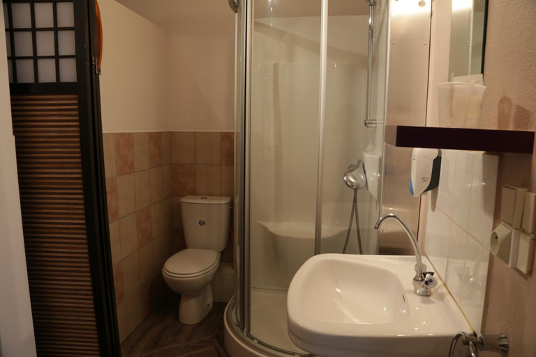 Bathroom 2, Hotel Restaurant De La Roche, Rhône