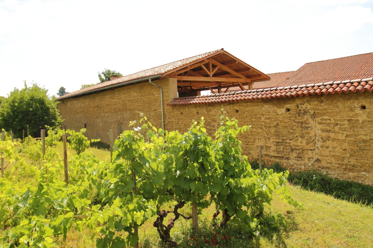 Exterior & Views 2, La ferme de Berlioz, Isère