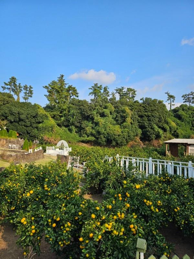 4, Jeju Manul Pension, Jeju
