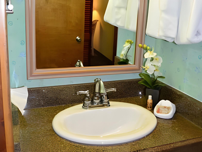 Bathroom 3, Sun Viking Lodge - Daytona Beach, Volusia