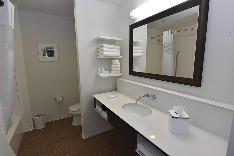 Bathroom 3, Hampton Inn & Suites Alexandria, Rapides