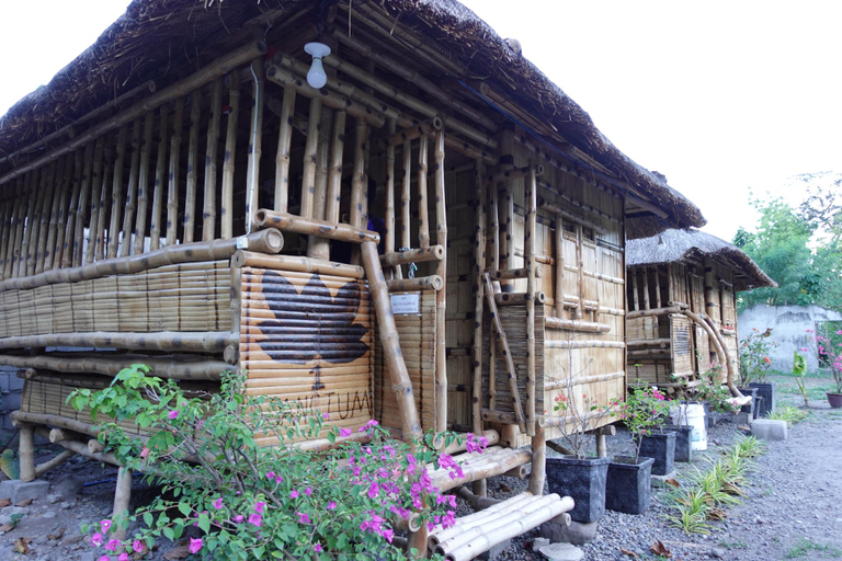 Exterior 6