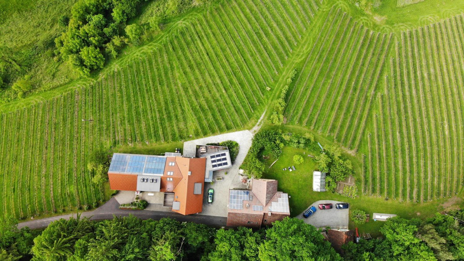 Others 3, Weingut spitzyPeitler, Leibnitz