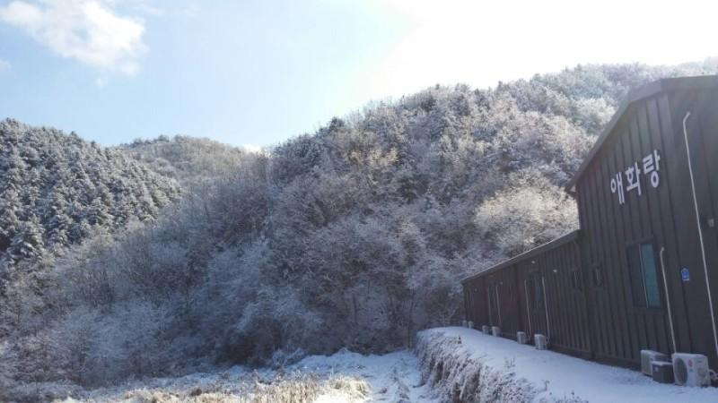 4, Hongcheon Aehwarang Pool Villa, Hongcheon