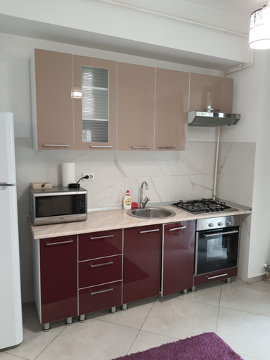 Others 4, Center Apartments, Iasi