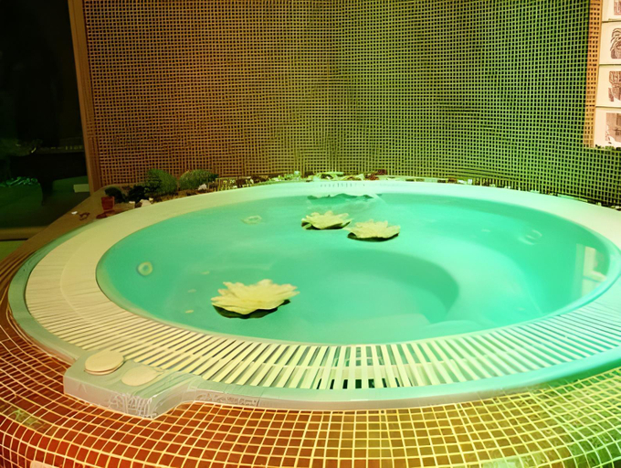 Sport & Beauty 2, Palace Hotel Zingonia, Bergamo