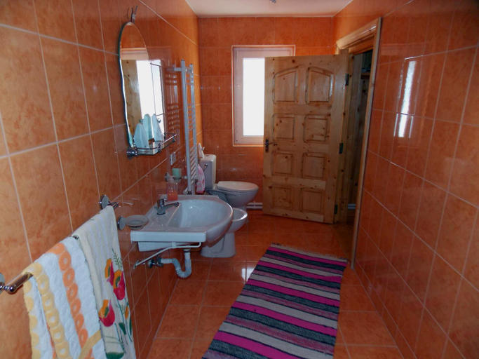 Bathroom 2, Pensiunea Paradiso, Poiana Teiului